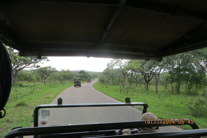 Kruger Off-Road Game Drive