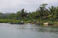 Javan River Boat Trip