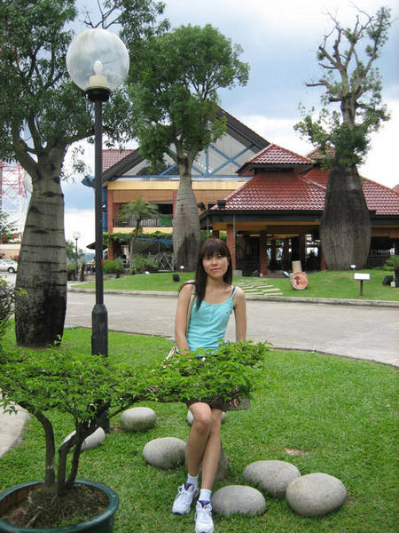 Bottle Tree Village, check the tree behind..