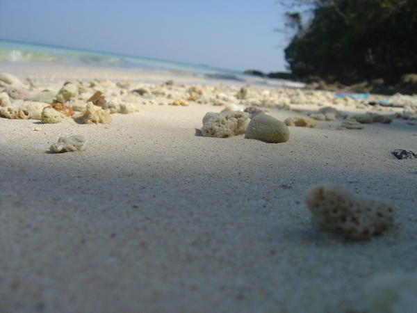 eh.. coral.. sand.. mmm..