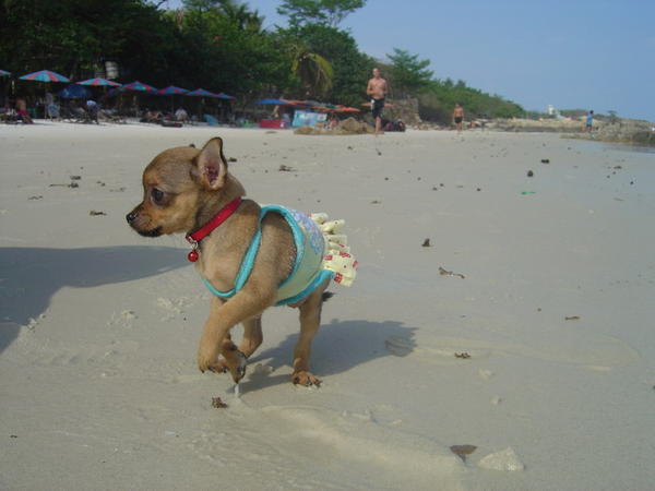 first time on the beach..