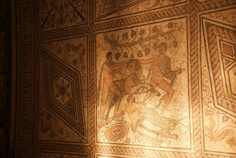 The Roman Floor Mosaic