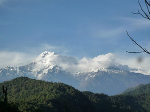 Annapurna South from above Pothana ab