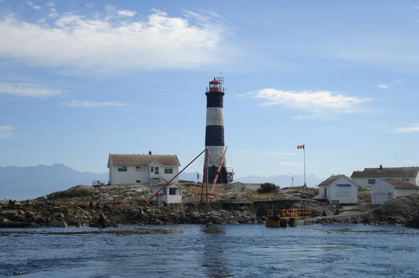 Leuchtturm mit Seelöwen