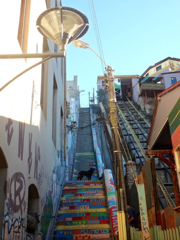 Coloured steps Valparaiso 