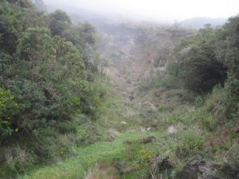 3 MYaku Intake Minga setting looking uphill along landslide path, note green marsh at base