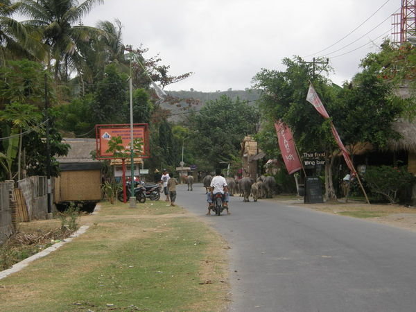 Paakatu