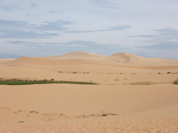 The White sand dunes