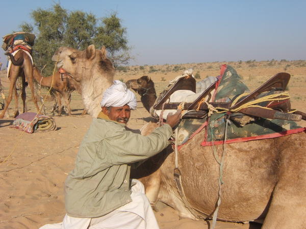 Camel Safari