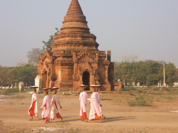 Nuns in Bagan