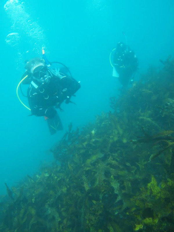 Underwater Navigation Course