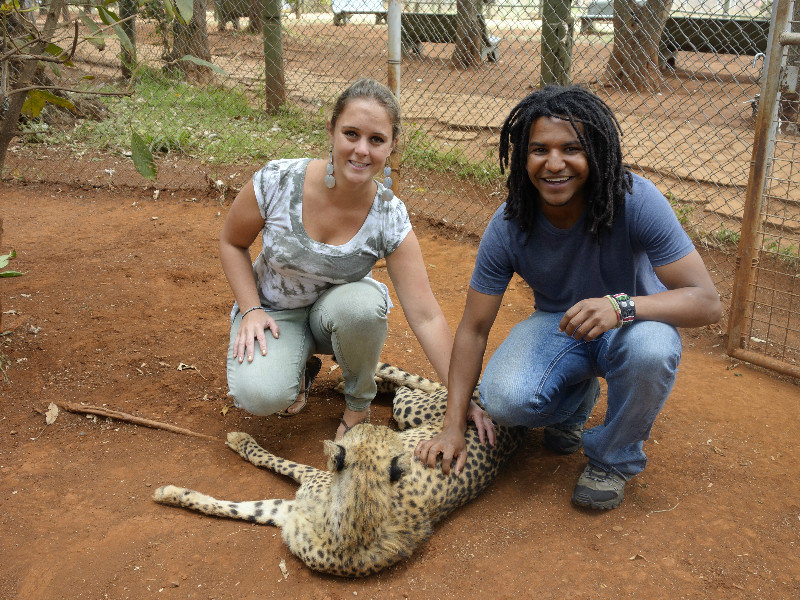 Petting a Cheetah