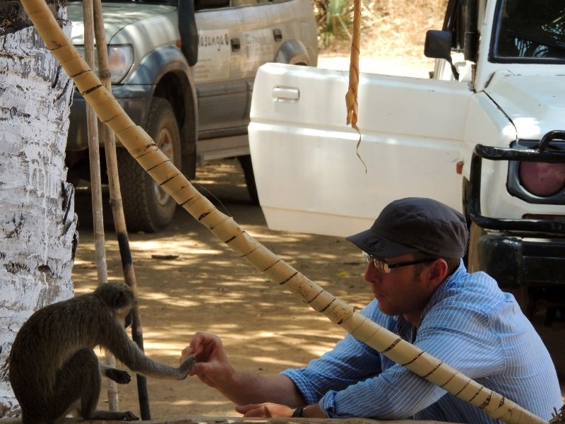 A monkey giving David some nuts