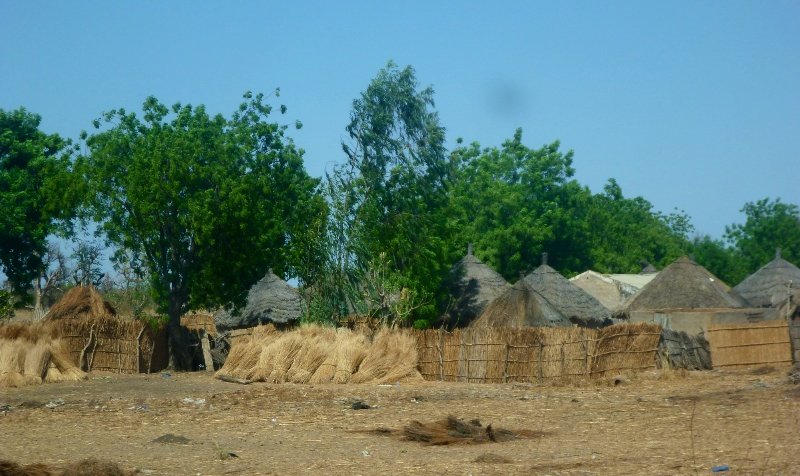 Village view, central and eastern senegal