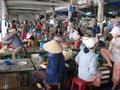 fish market in Hoi an