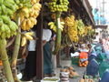 Fruit Stalls in Galle