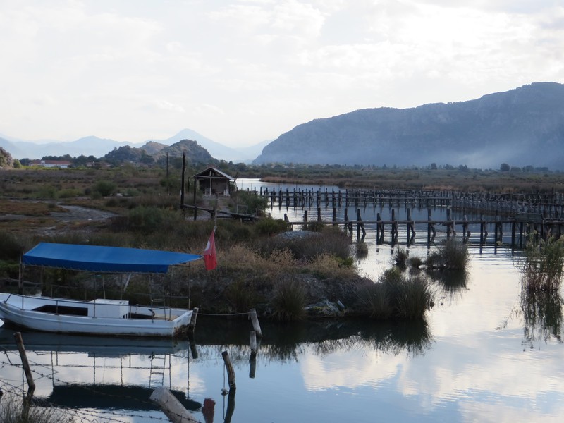 Dalyan fishing village. 