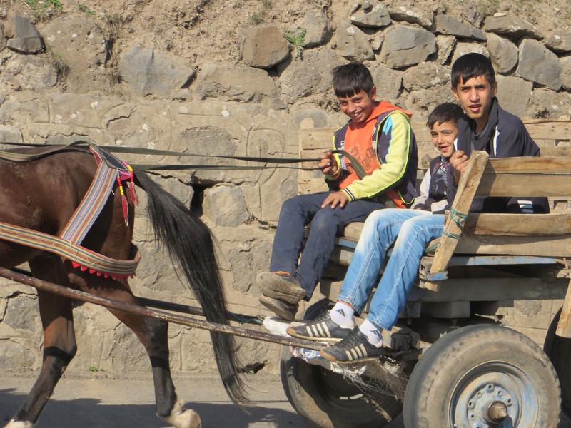 boys in horse drawn cart