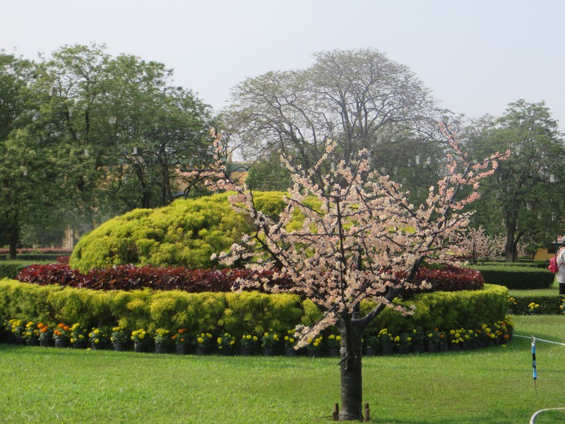 Royal Palace gardens