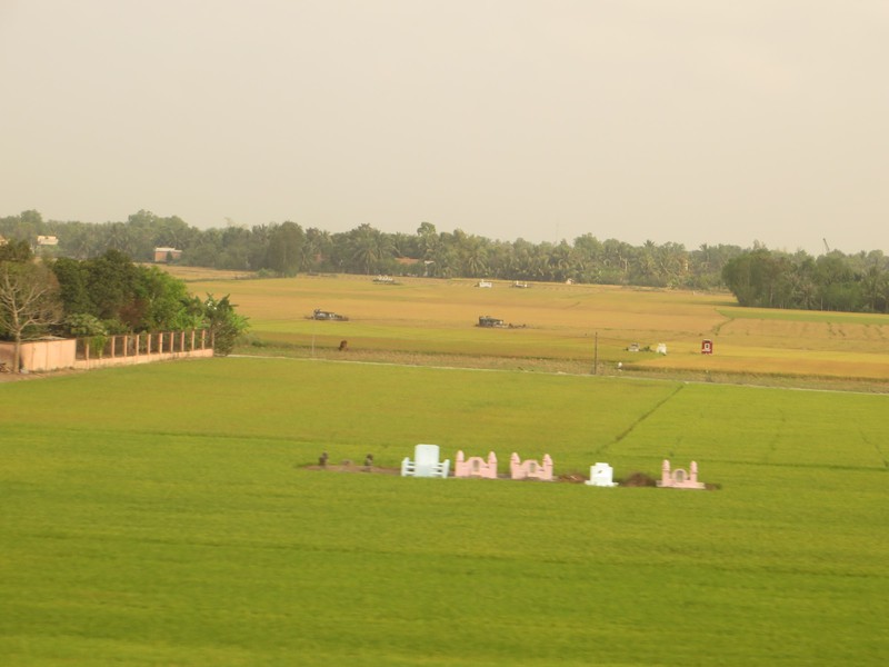 Family tombs in rice fields.