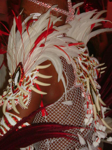 Samba School Costume