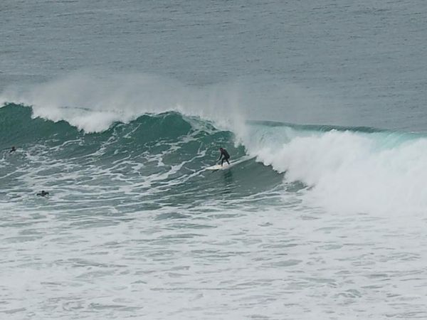 Brave surfer at Bells Beach
