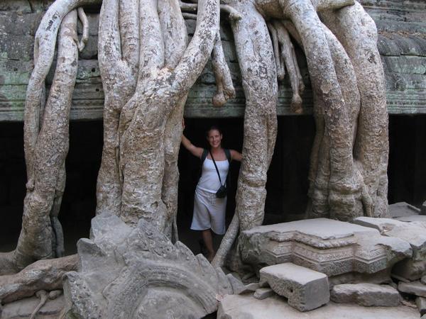Giant roots at Ta Prohm