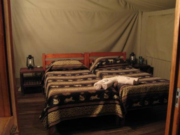 Our luxury tent, Lower Sabie