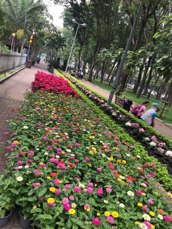 Flowers waiting to be planted in the park.