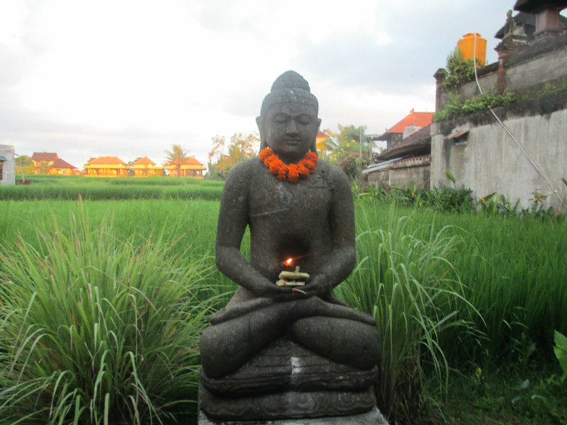 Rice paddy and buddha in the restaurant