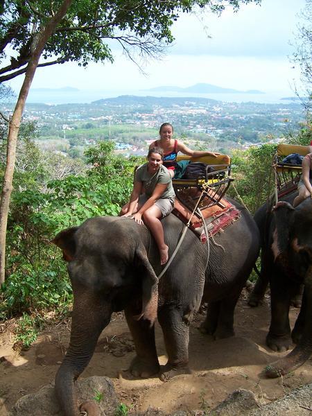 On our Elephant with a great view in the jungle!