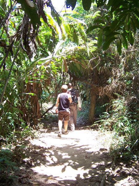 Rich & Gorlo walking through the rainforest