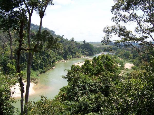 View from the canopy walkway