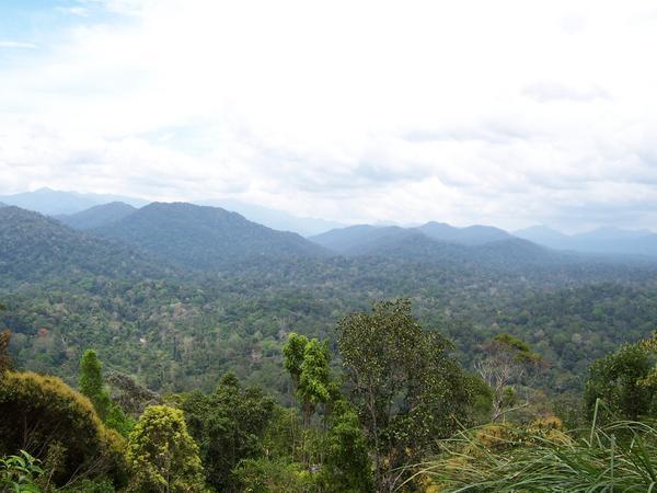 View from the top of Bukit Teresek