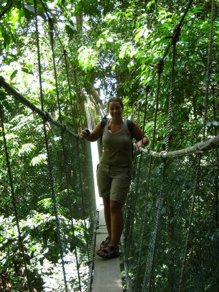 Me on the canopy walkway