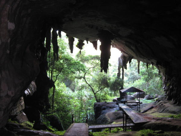 Inside the great cave at Niah Caves National Park