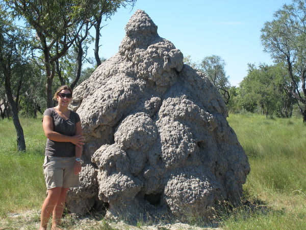 Me & a huge Termite nest!