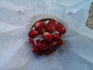 Wild strawberry tart
