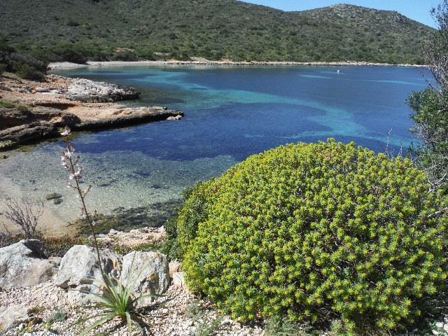 View of Bay, Isla Cabrera