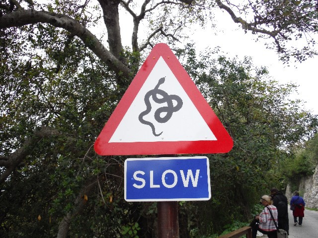 All sorts of funy warning signs on the rock - fortunately we didn't see any snakes