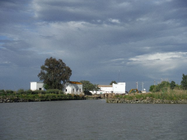 View of the river to Seville