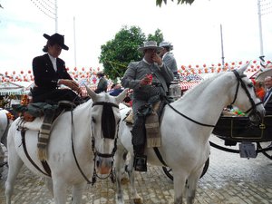Andulucian horses @ Feria Seville