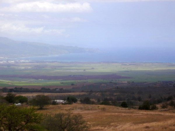 Maui View of the Bay