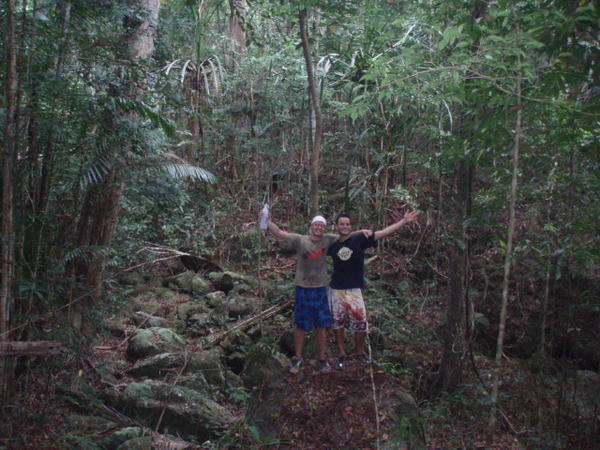 Jungle Hike!