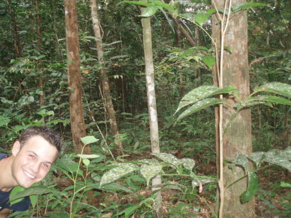 Jungle hike