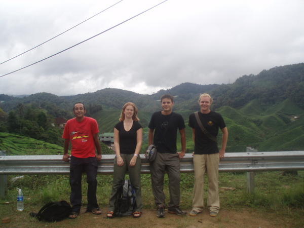 Our walk to the tea plantations, Cameron Highlands