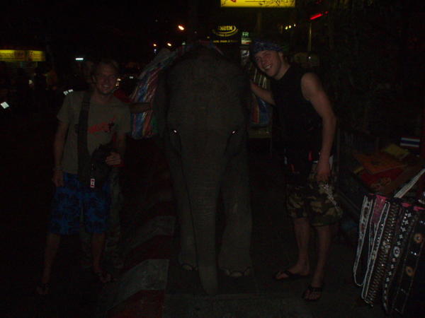 Elephant on the street