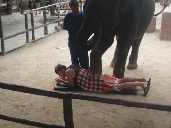 Nathan getting an elephant massage!