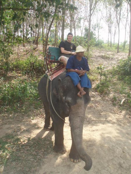 Andrew elephant riding.