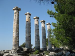 Columns remaining in the Sanctuary of Athena